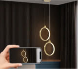 Lampe pendante circulaire à 2 lumières en laiton doré Charmed Hanging Light