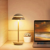 Lampe Lumineuse De Prestige