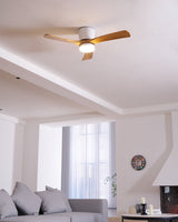 Ventilateur de plafond en bois