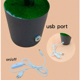 Veilleuse Led À Branche De Noël