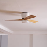 Ventilateur de plafond en bois