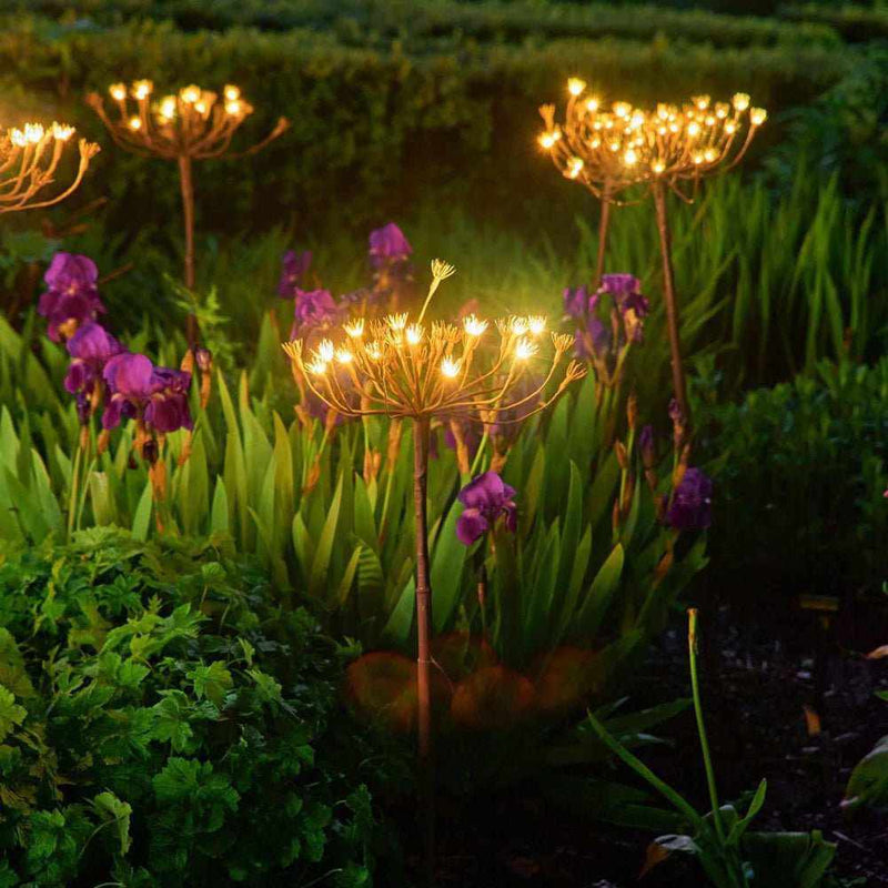 Lampes Fenouil Sauvage (pack de 6)"