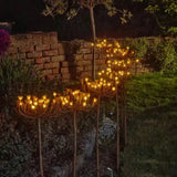 Lampes Fenouil Sauvage (pack de 6)"