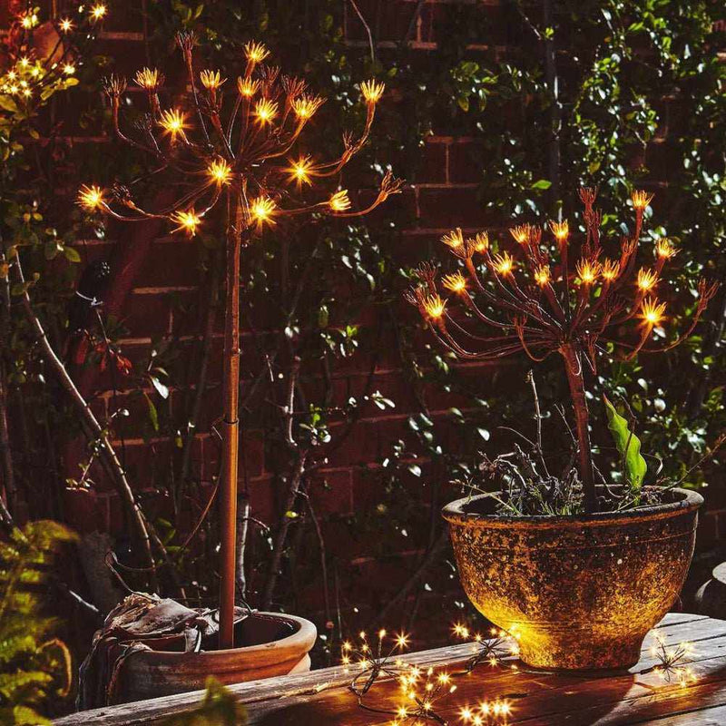 Lampes Fenouil Sauvage (pack de 6)"