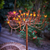 Lampes Fenouil Sauvage (pack de 6)"